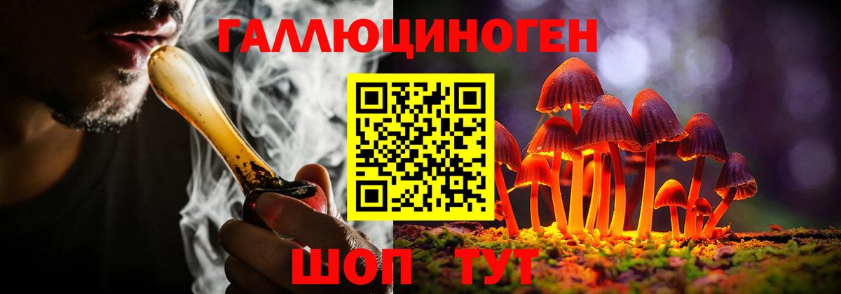 Псилоцибиновые грибы Psilocybine cubensis Щёкино